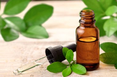 taze petitgrain yaprakları ve uçucu yağ masada
