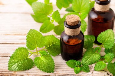 oğul otu esans ahşap tahta üzerinde şişe