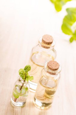 taze nane yağı ahşap tablo