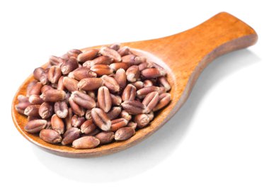 Beyaz, ham çavdar (büyük tilt shift lens ile çekilen alan derinliği,)