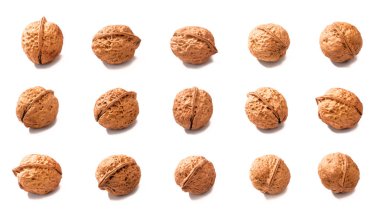 beyaz üzerine kuru ceviz