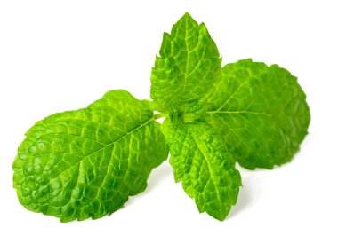 taze elma nane yaprakları üzerinde beyaz izole