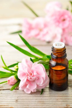 Karanfil mutlak esans ve ahşap tahta üzerinde pembe çiçekler