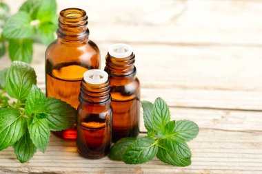 taze nane yaprakları ve uçucu yağ masada