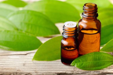 Tarçın yaprağı yağı ve ahşap tahta üzerinde taze tarçın yaprakları