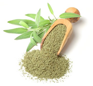 Beyaz arka plan üzerinde izole ovuşturdu adaçayı