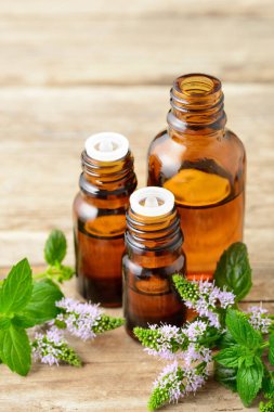 Nane önemli petrol ve ahşap masaya nane çiçek