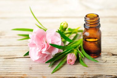 Karanfil mutlak esans ve ahşap tahta üzerinde pembe çiçekler