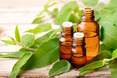 Okaliptüs esans ve taze Okaliptüs yaprakları ahşap tahta üzerinde