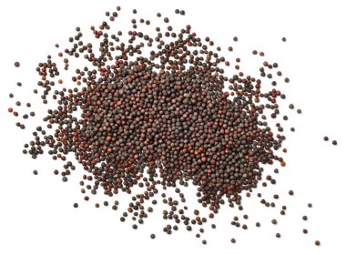 Beyaz arka plan üzerinde izole kurutulmuş kanola tohumu