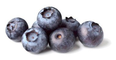 Beyaz arka plan üzerinde izole taze yaban mersini