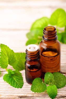 oğul otu esans ahşap tahta üzerinde şişe