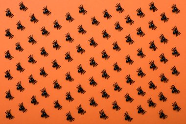 siyah örümcekler desen, Cadılar Bayramı arka plan