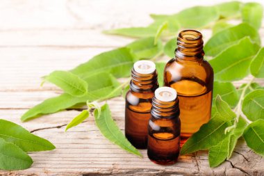 taze okaliptüs ile şişe okaliptüs esans