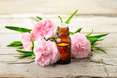 Karanfil mutlak esans ve ahşap tahta üzerinde pembe çiçekler