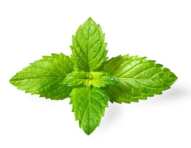 taze ot, beyaz arka plan üzerinde izole nane yaprakları