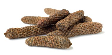 Uzun biber, beyaz arka plan üzerinde izole piper longum kurutulmuş