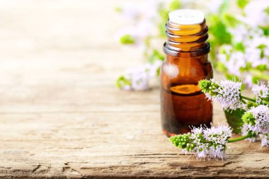 Mor nane çiçekler ve nane esans ahşap tahta üzerinde