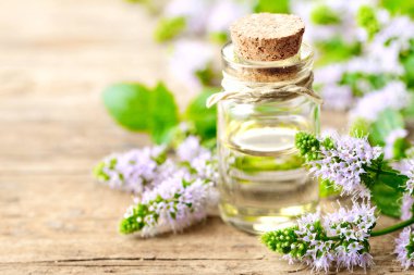 Mor nane çiçekler ve nane esans ahşap tahta üzerinde