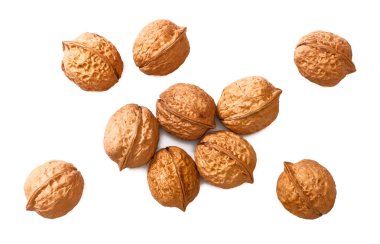 beyaz üzerine kuru ceviz