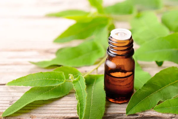 Eucalyptus Essential Oil Fresh Eucalyptus Wooden Table — Stock Photo, Image