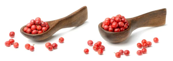 Dried Pink Peppercorns Isolated White Background — Stock Photo, Image