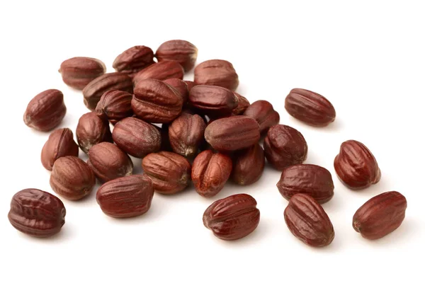 beyaz izole kurutulmuş jojoba tohumu
