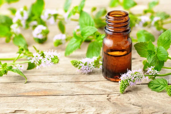 Peppermint Essential Oil Peppermint Flowers Wooden Table — Stock Photo, Image