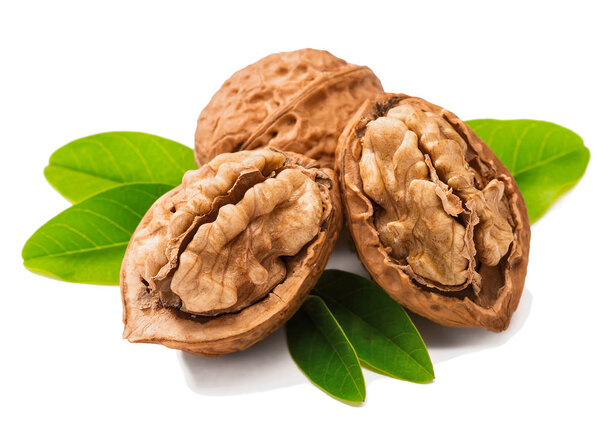 cracking walnuts with fresh leaves on white