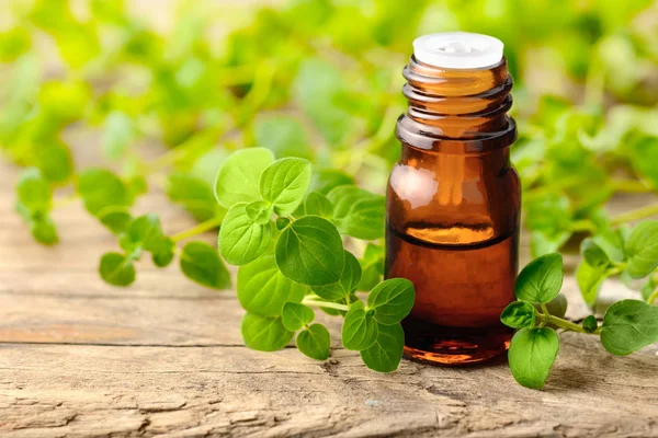 Oregano oil and fresh oregano leaves on the wooden board