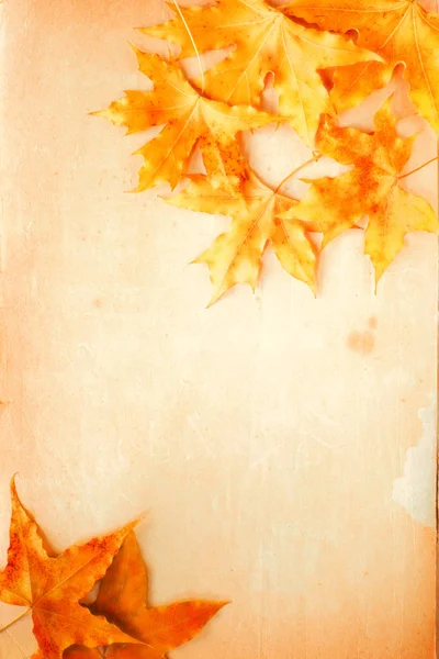 Yellow Autumn Leaves Mottled Paper Top View — Stock Photo, Image