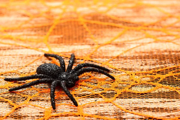 Araña Negra Sobre Fondo Naranja — Foto de Stock