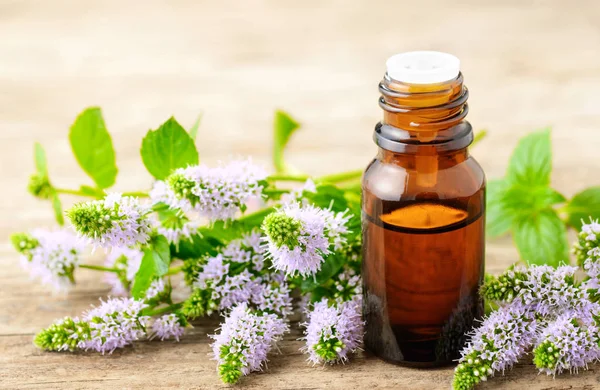 Paarse Bloemen Van Pepermunt Pepermunt Etherische Olie Het Houten Bord — Stockfoto