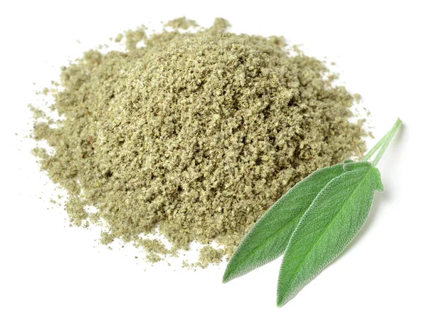 Salvia Seca Aislada Sobre Fondo Blanco — Foto de Stock