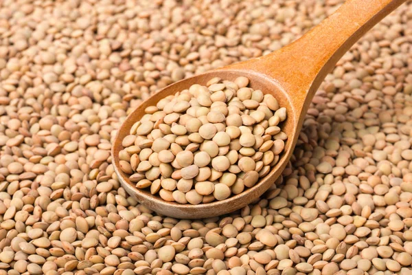 Beyaz, ham mercimek (büyük tilt shift lens ile çekilen alan derinliği,)