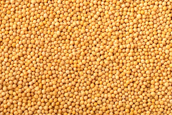 food background of dried yellow mustard seeds, top view