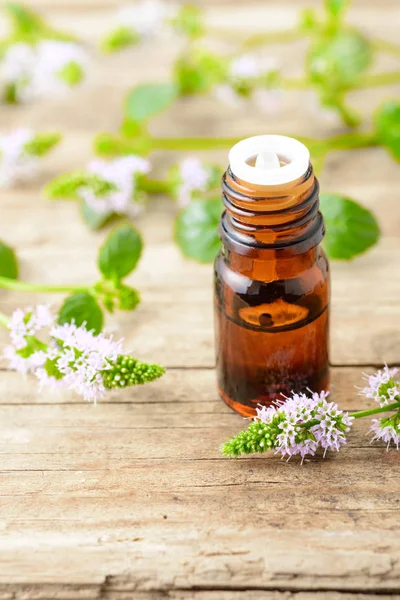 Pepermunt Etherische Olie Pepermunt Bloemen Houten Tafel — Stockfoto