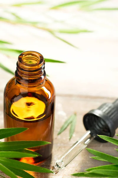 Tea Tree Oil Amber Glass Bottle Fresh Tea Tree Leaves — Stock Photo, Image