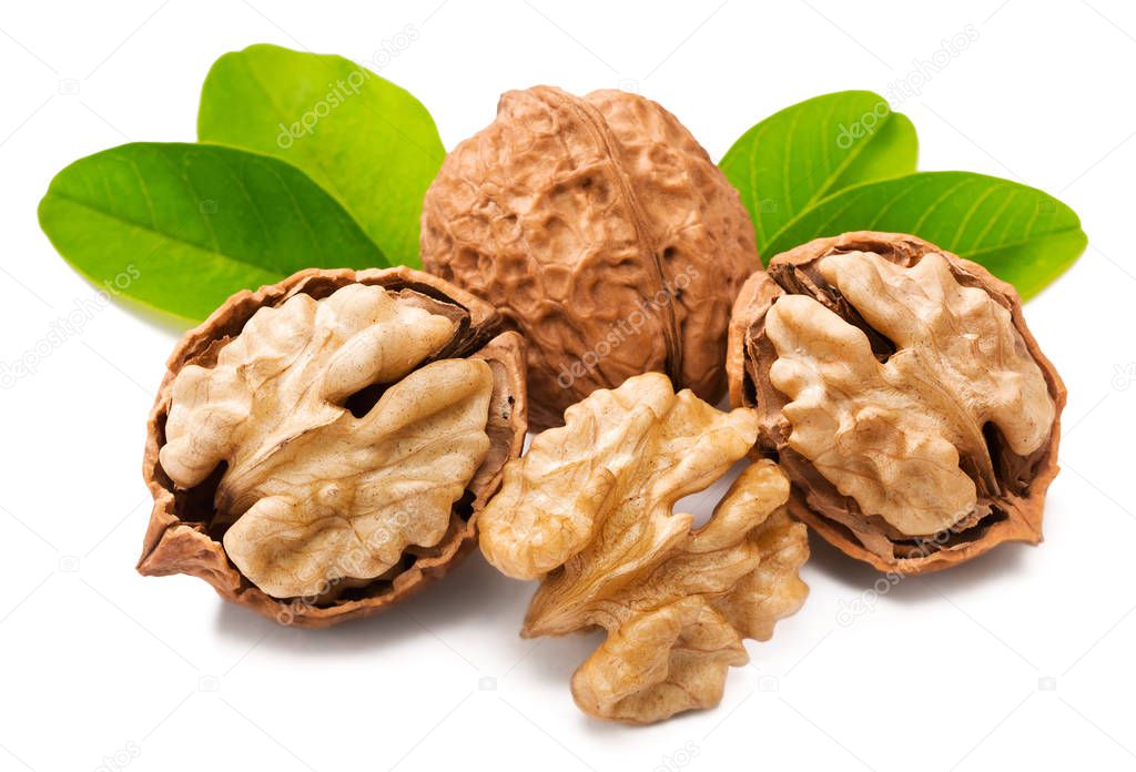 cracking walnuts with fresh leaves on white