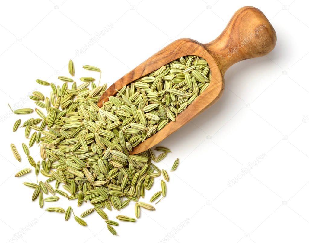 dried fennel seeds in the olive wood scoop, isolated on white background