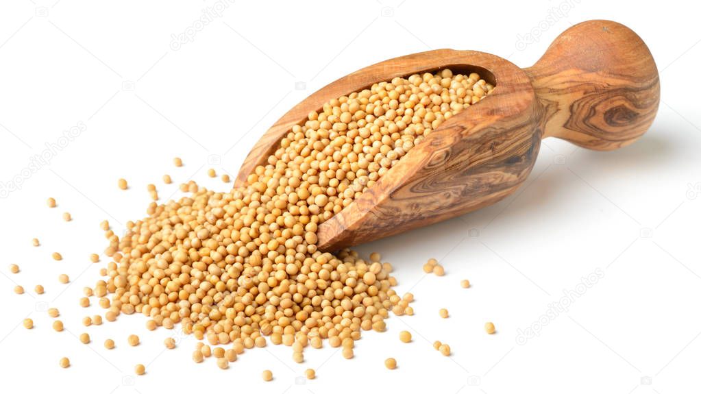 yellow mustard seeds isolated on white background