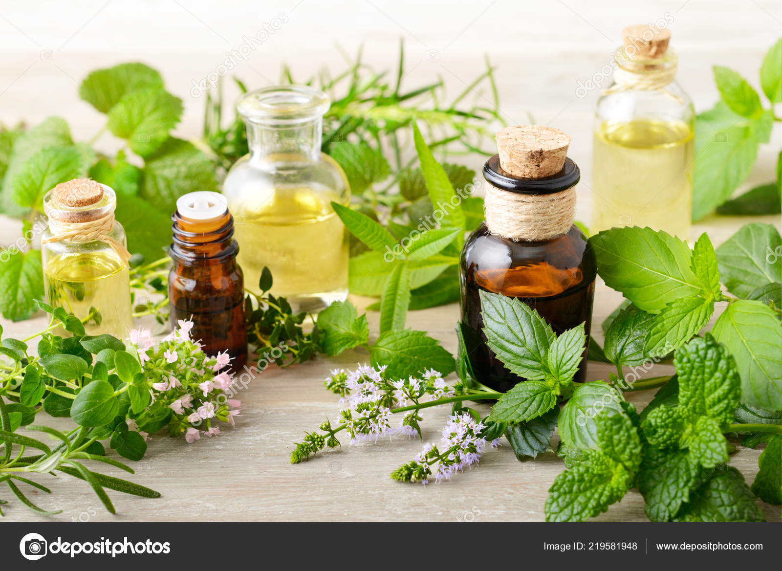 Массажное масло Dona с ароматом лемонграсса и имбиря, 120 мл JO40453 - Dona - Масла для массажа - Купить