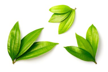 izole üzerinde beyaz arka plan taze tarçın yaprakları