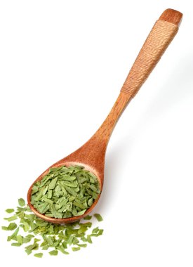 kıyılmış tarhun üzerinde izole beyaz arka plan bırakır