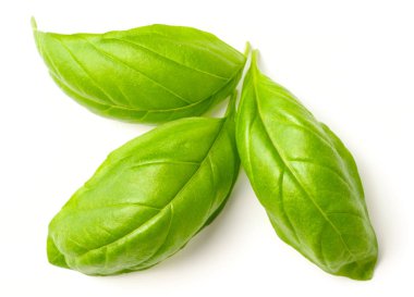 taze ot, izole üzerinde beyaz arka plan taze fesleğen yaprağı