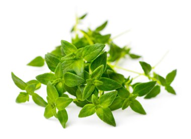 taze ot, beyaz arka plan üzerinde izole taze kekik