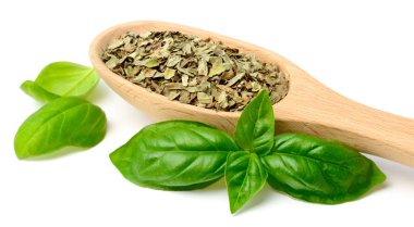 Beyaz arka plan üzerinde izole tahta kaşık kuru fesleğen yaprağı