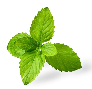 taze ot, beyaz arka plan üzerinde izole nane yaprakları