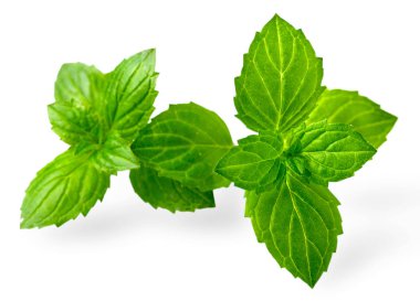 Nane yaprakları üzerinde beyaz, taze ot izole