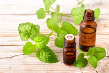 oğul otu esans ahşap tahta üzerinde şişe